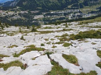 Trail Walking Magland - belvédère d Aulp - Photo