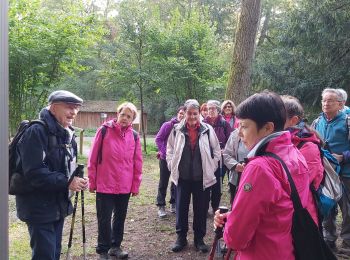 Randonnée Marche Sélestat - Rando Lerchenberg  Selest6 - Photo