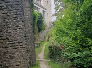 Tour Pfad Chaumont - au pied des remparts  - Photo