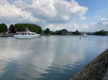 Trail Walking Honfleur - Honfleur - Photo