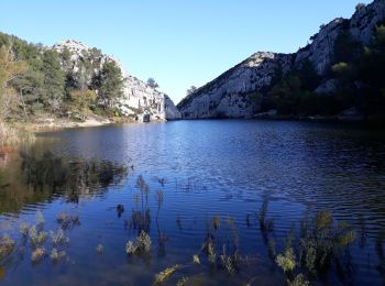 Trail Walking Saint-Rémy-de-Provence - Alpilles  - Photo