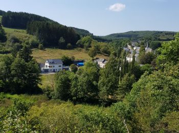 Tour Wandern Stauseegemeinde - Bavigne - Photo