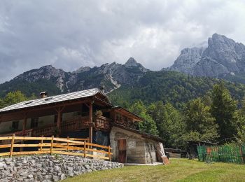 Trail On foot Malborghetto Valbruna - IT-651 - Photo