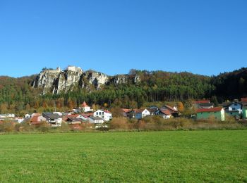 Excursión A pie Walting - Rundwanderweg Kipfenberg 5 - Photo