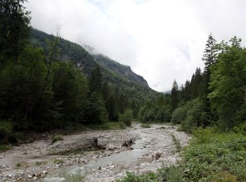 Excursión A pie Gemeinde Kirchdorf in Tirol - Wanderweg 20 - Feldberg/Scheibenbichlalm/Kaisertal - Photo