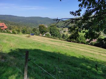 Trail Walking Le Hohwald - Hohwald (ter) - Photo