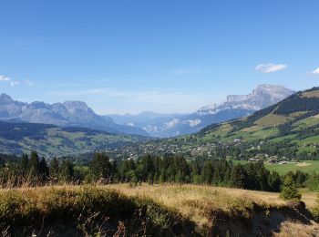 Randonnée Marche Megève - Descente de Pré Rosset à Javen.   - Photo