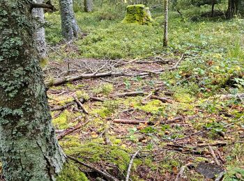 Tour Wandern Sauvessanges - cepes - Photo