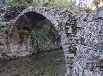 Randonnée Marche Corscia - Corscia par l’ancienne Scala, retour par les gorges de la Ruda - Photo