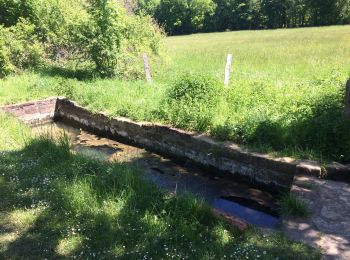 Trail Walking Collonges-la-Rouge - Collonge les lavoirs  - Photo