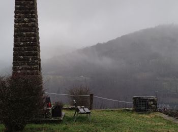 Randonnée Marche Berdorf - Entre Luxembourg et Allemagne - Photo