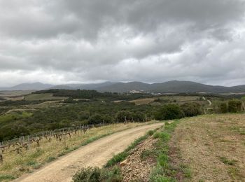 Randonnée Marche Laurens - Balade vigne L’Oustal - Photo