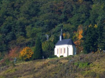 Randonnée A pied Kröv - Kinheim - Reil - Photo