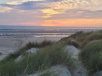 Percorso Marcia Le Touquet-Paris-Plage - Balade dans la baie de Canche - Photo