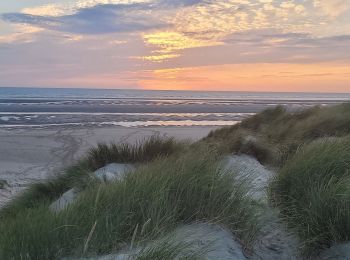 Randonnée Marche Le Touquet-Paris-Plage - Balade dans la baie de Canche - Photo