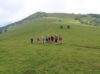 Randonnée Marche Masevaux-Niederbruck - Le ROOSBERG-1 - Photo