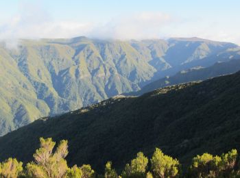 Tocht Te voet Calheta - Levada do Alecrim - Photo