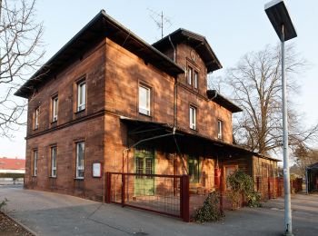 Randonnée A pied Kleinheubach - Rundwanderweg Kleinheubach Galgen 1: Galgenweg - Photo