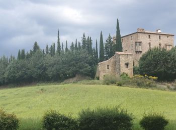 Randonnée Marche Serres - Serres Cardou  - Photo