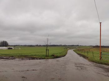 Randonnée Marche Floreffe - Bois du Skerpia et du Poujoux - Photo