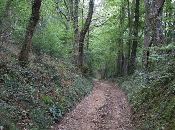 Tocht Stappen Rontignon - sentier des crêtes Rontignon - Photo