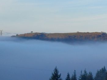 Randonnée V.T.T. Saint-Étienne - salvaris le mont plateau - Photo