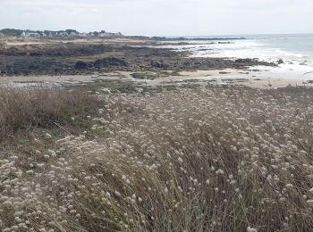 Excursión Senderismo Batz-sur-Mer - batz sur mer - Photo