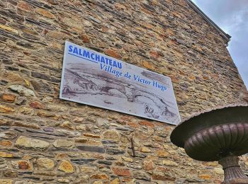 Randonnée Marche Vielsalm - Balade à Salmchateau - Photo