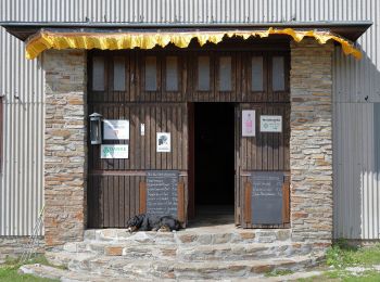 Tour Zu Fuß Gemeinde Reichenau an der Rax - Hoyossteig - Photo