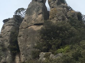 Excursión Senderismo Saint-Jean-de-la-Blaquière - Le Rocher des Vierges - Photo