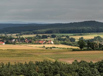 Excursión A pie Schönbrunn i.Steigerwald - Rundweg Schönbrunn S 2 