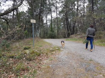 Percorso Marcia Sanilhac - Sanilhac du pezenas au Blachis - Photo