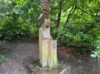 Trail Walking Forest - Vorst - Forest National - Uccle - Photo