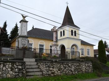 Randonnée A pied Nagykanizsa - P+ ( Liszó - Bagola ) - Photo