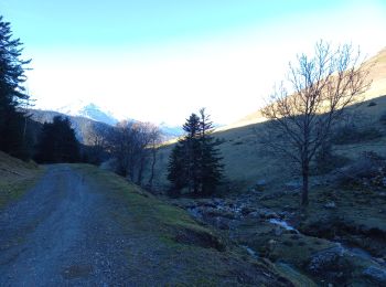 Tocht Stappen Cazaux-Fréchet-Anéran-Camors - Boucle de Mont - Photo