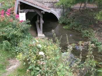 Randonnée Marche Livet-sur-Authou - Livet/Authou au Coudraie - Photo