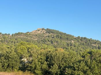 Randonnée Marche Le Puy-Sainte-Réparade - Puy Ste Réparade camping Messidor La Quille retour par canal - Photo