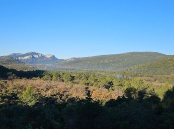 Randonnée Marche La Farlède - Petit Coudon en partant de La Farlède - Photo