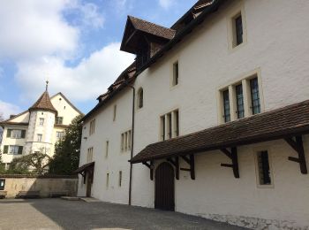 Tour Zu Fuß Fischbach-Göslikon - Bremgarten - Fischbach - Photo