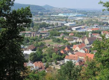 Percorso A piedi Ebelsbach - Lauftour EBL3 - Photo