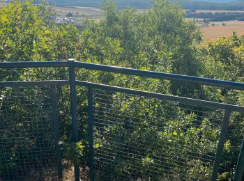 Tour Wandern Flavignerot - Flavigny Roy - Photo