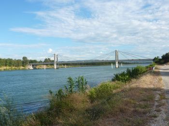 Randonnée Marche Donzère - Donzère les Canaux 10km. - Photo