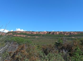 Excursión Senderismo Le Muy - Le Rouet Vignes - Photo