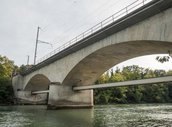 Excursión A pie Untersiggenthal - Ennetturgi Holzbrücke - Steinenbüel - Photo