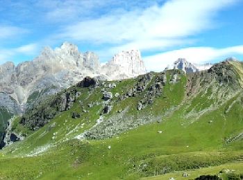 Excursión A pie Campitello di Fassa - IT-E530 - Photo