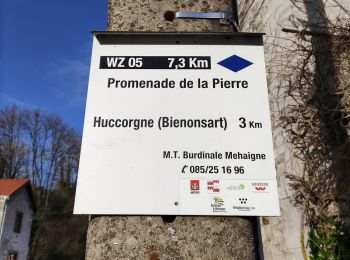 Tocht Stappen Wanze - Promenade de la pierre à Moha - Photo