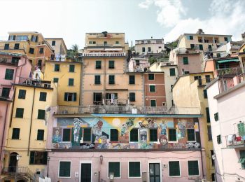 Percorso A piedi Riomaggiore - Sentiero Verde Azzurro: Telegrafo - Montenero - Riomaggiore - Photo