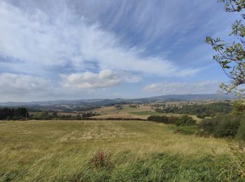 Excursión Senderismo Périgneux - Marche de la Fanandrette - Photo