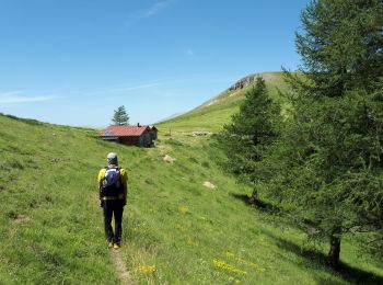 Randonnée Marche Roure - Mont Autcellier de Roure au Refuge Longon J1 - Photo