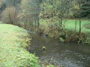 Tour Zu Fuß Kirchzell - Rundwanderweg Watterbach 1 - Photo